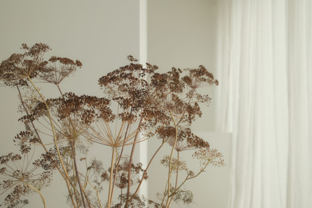 kaboompics dried floral aesthetic backgrounds natural tones free stock photos 36644